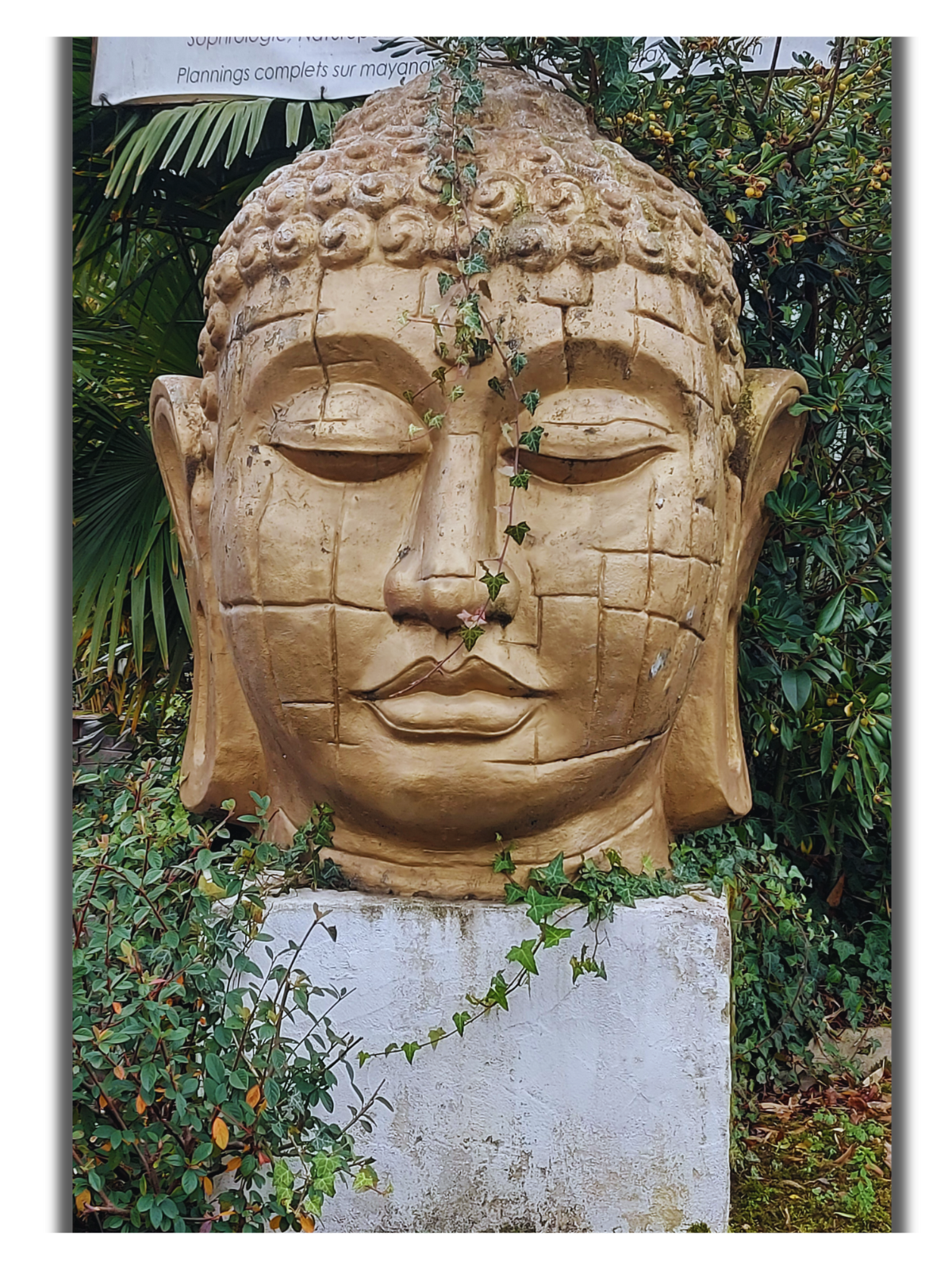 Lifestudio_Mayana_Angelique_Maison_Maelow_cours_yoga_dax