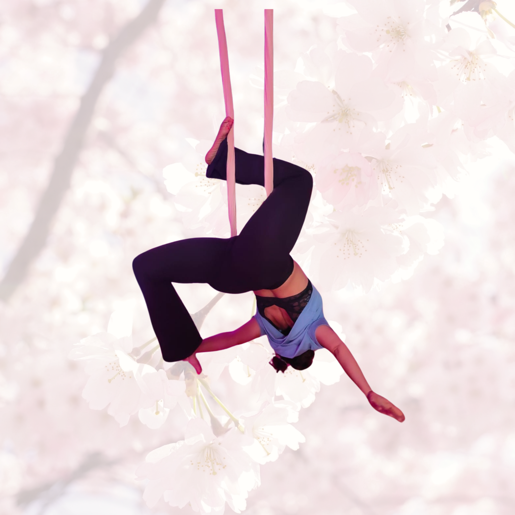 Yoga Aérien