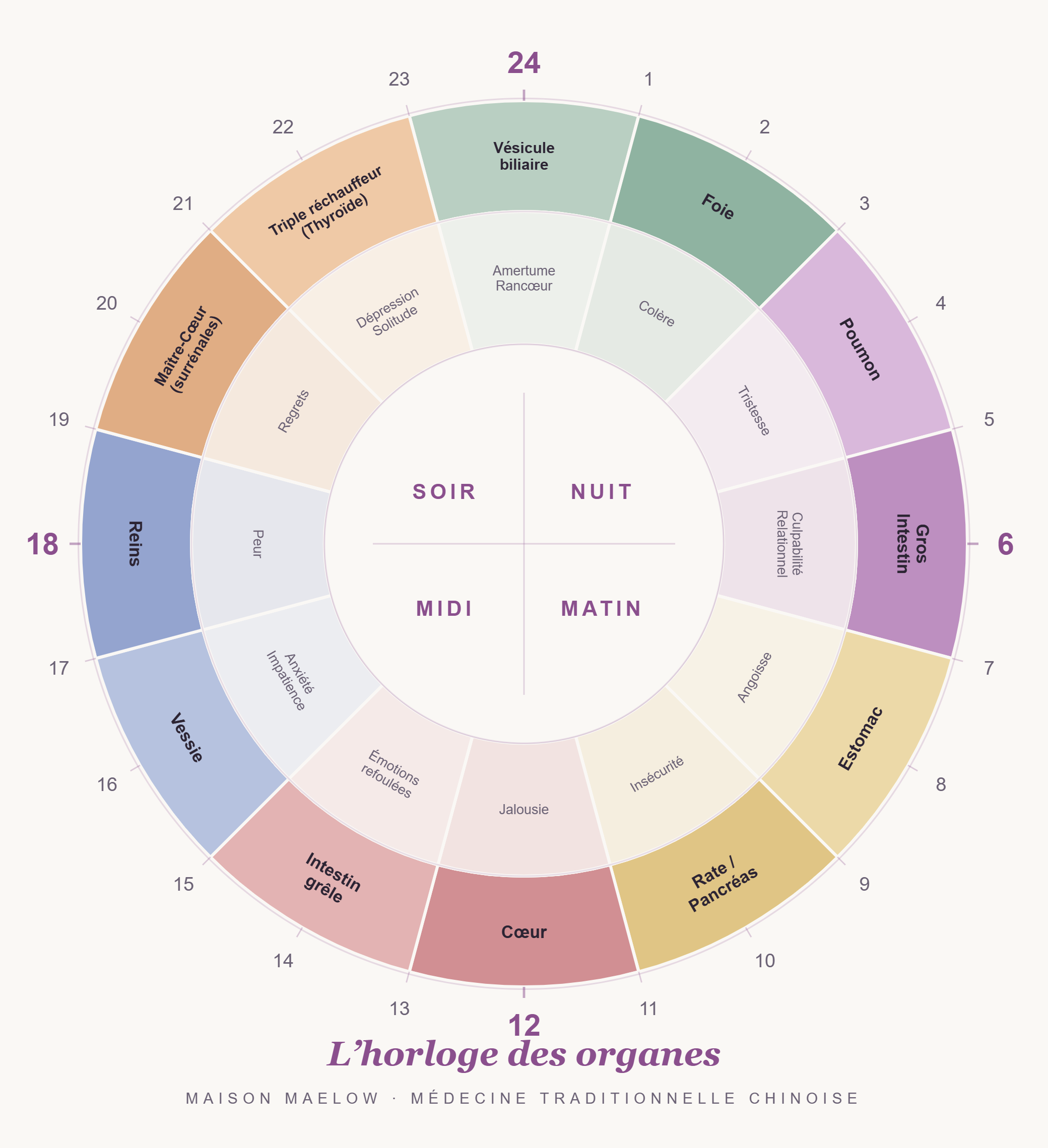 L'horloge des organes en médecine traditionnelle chinoise — Maison Maelow