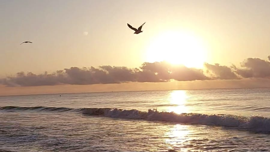 Lever de soleil sur la mer à Peñíscola, oiseaux en plein vol, lumière chaude de plein été