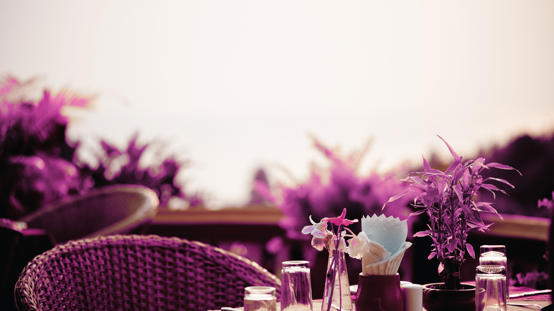 Table paisible dans une lumière mauve de début d'après-midi, l'heure de l'Intestin grêle en médecine chinoise