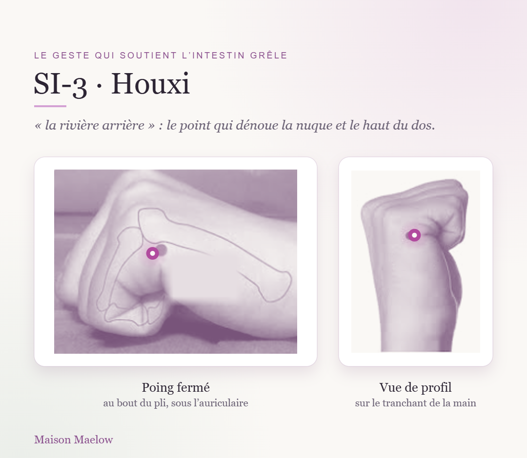 Localisation du point SI-3 (Houxi) sur le tranchant de la main