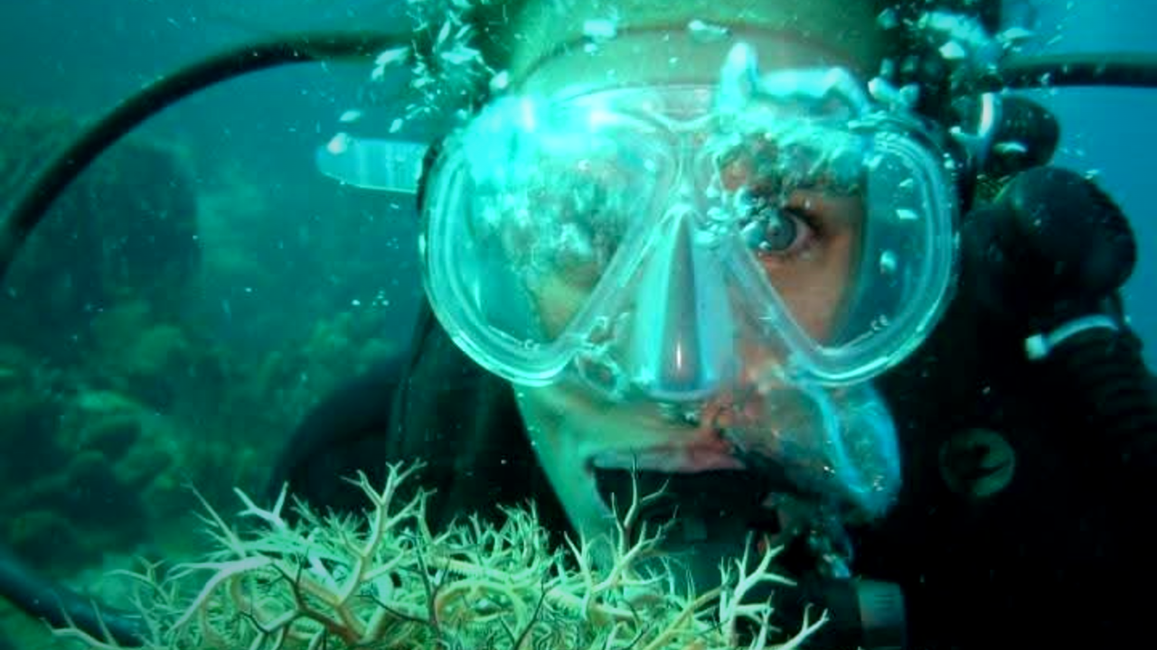 Angélique en plongée, masque et détendeur, face à une étoile de mer panier